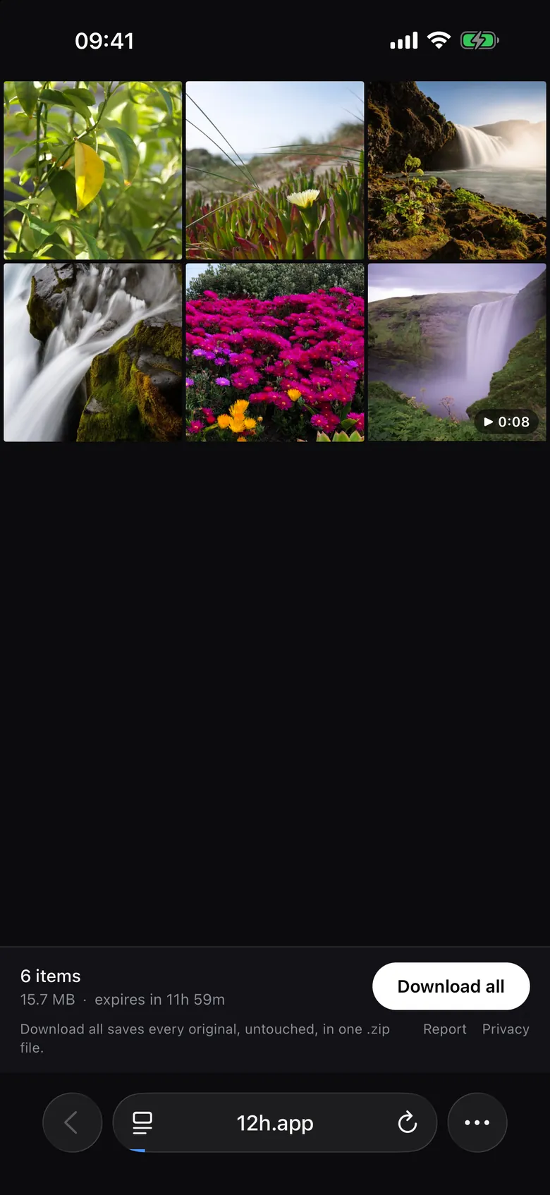 A grid of six shared photos with a Download all button