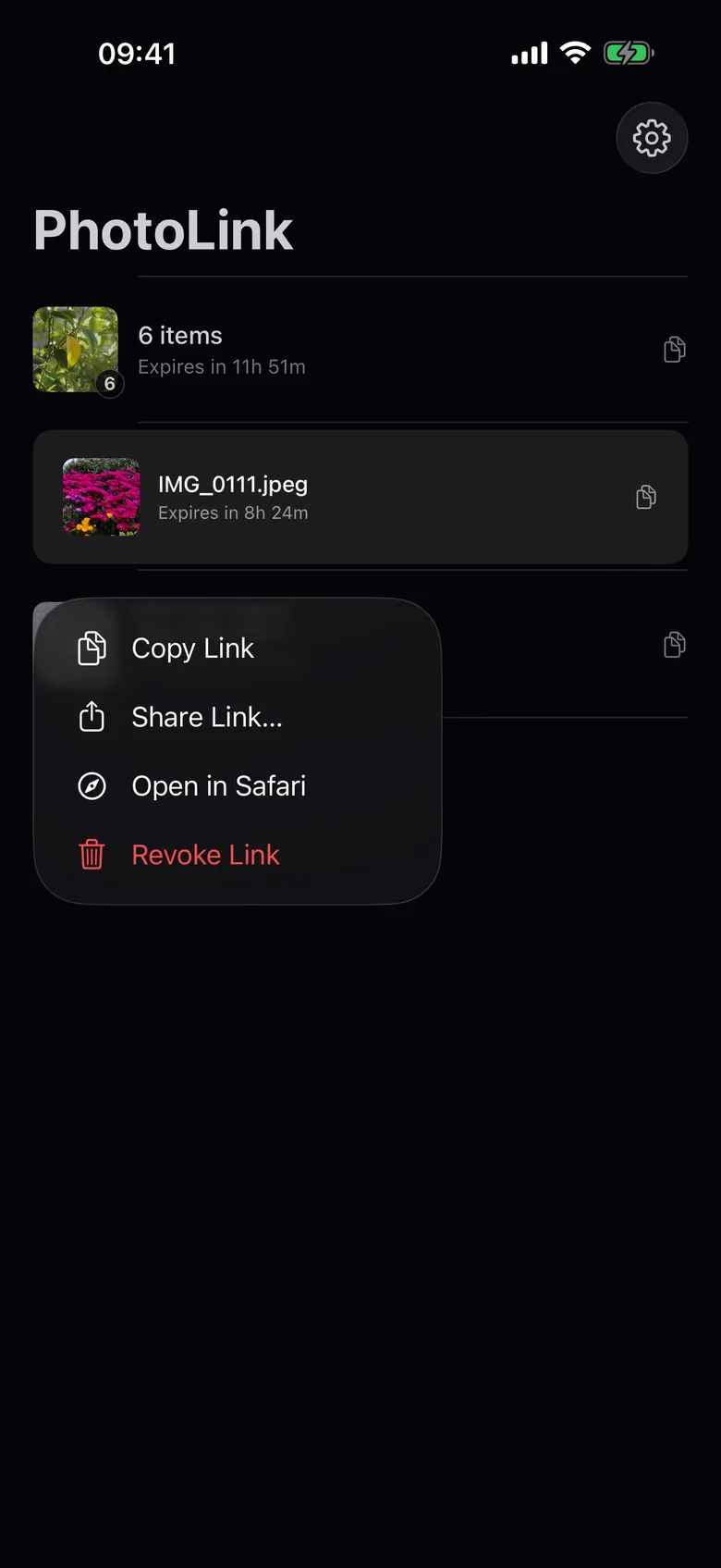 The PhotoLink app listing links with countdowns, and a Revoke Link option