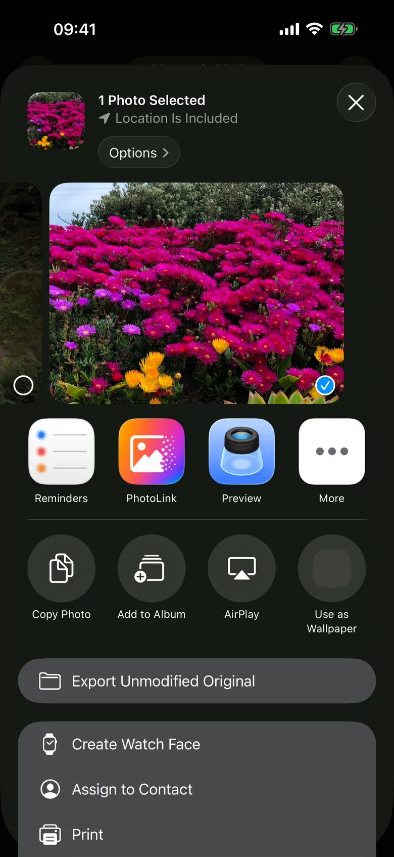 The iOS share sheet with PhotoLink in the row of apps